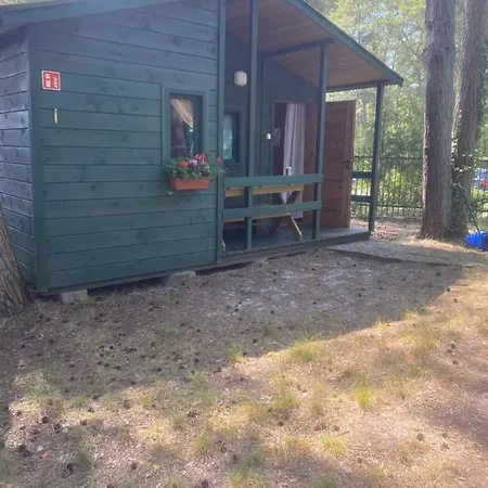 Domki Szumi Las Chalet *