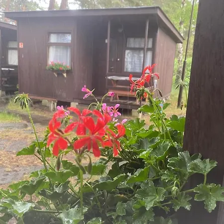 Domki Szumi Las Chalet Mrzezyno